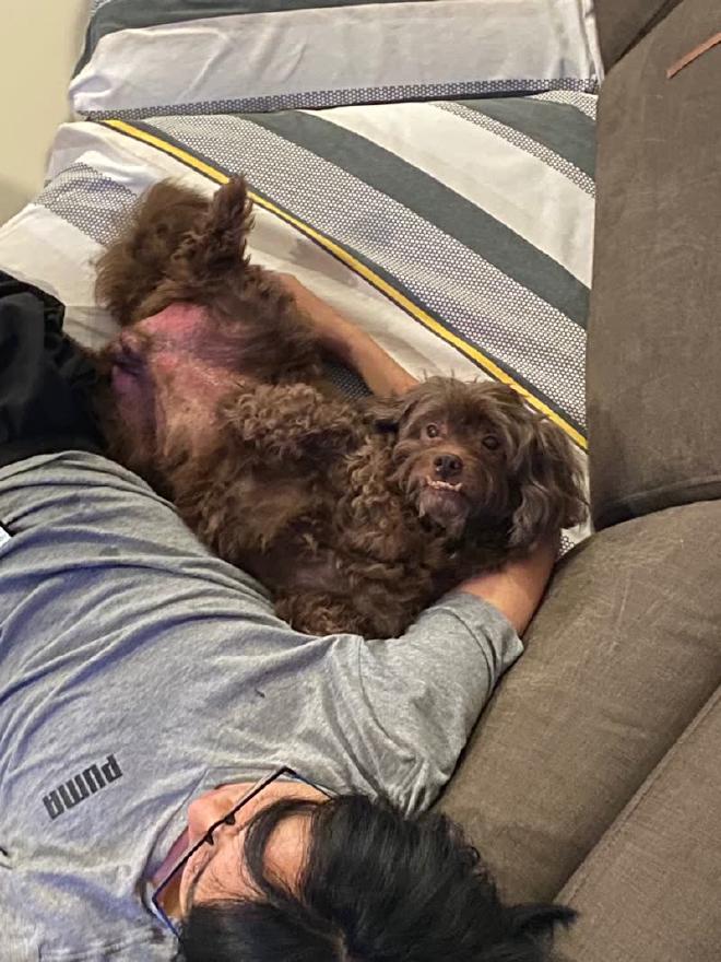 Sleeping